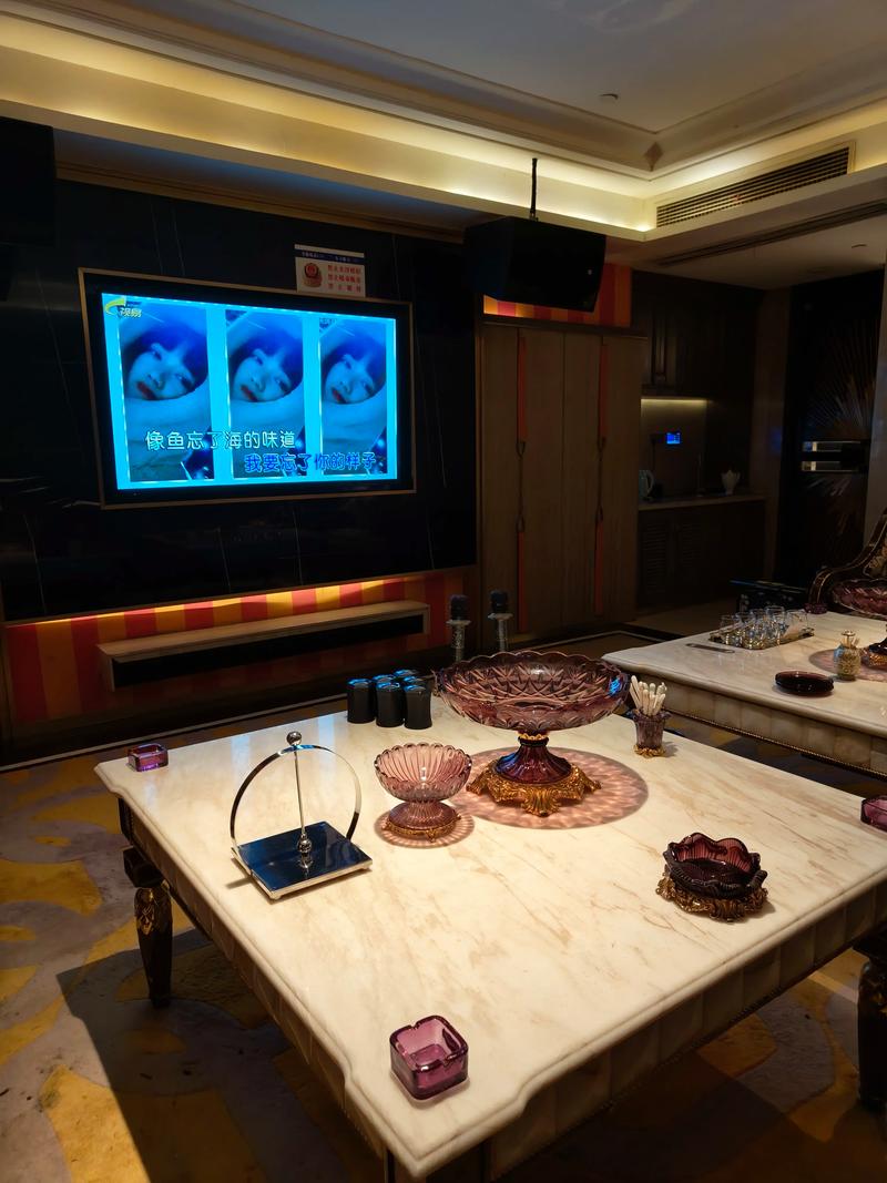 抚顺商务KTV一览-东洲区ktv预订